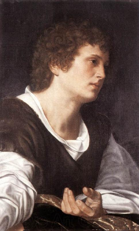 SAVOLDO, Giovanni Girolamo Bust of a Youth sg